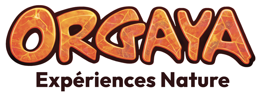 Orgaya