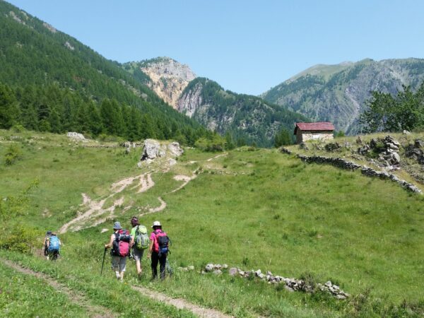 Faune du Mercantour