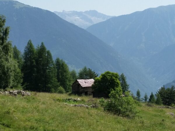 Journée Pique-nique en Alpage