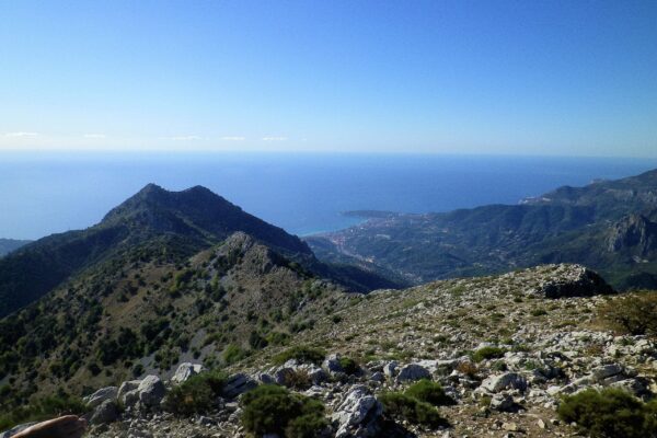 Menton, Le Berceau des Alpes