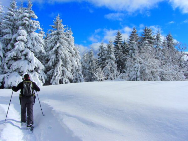 Découverte Raquettes à Neige