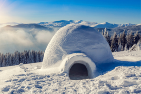 Construction d&rsquo;Igloo – Nature et Entreprise