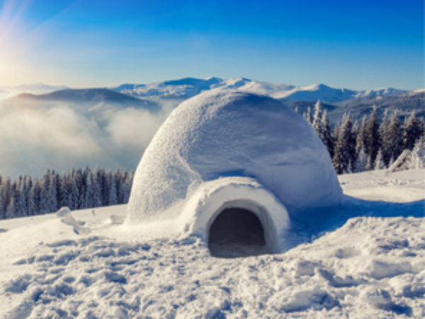 Construction d&rsquo;Igloo – Nature et Entreprise