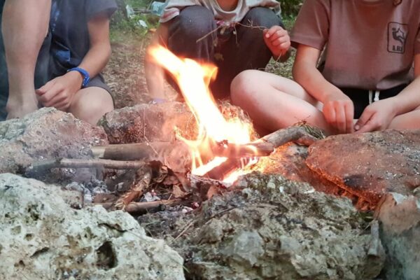 Journée « into the wild »