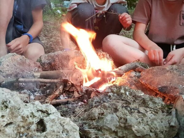 Journée « into the wild »